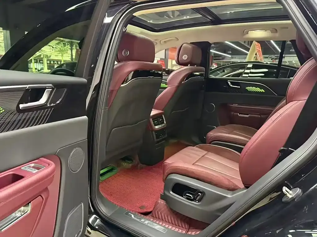 Hongqi E-HS9 2021 из CN, фото 8