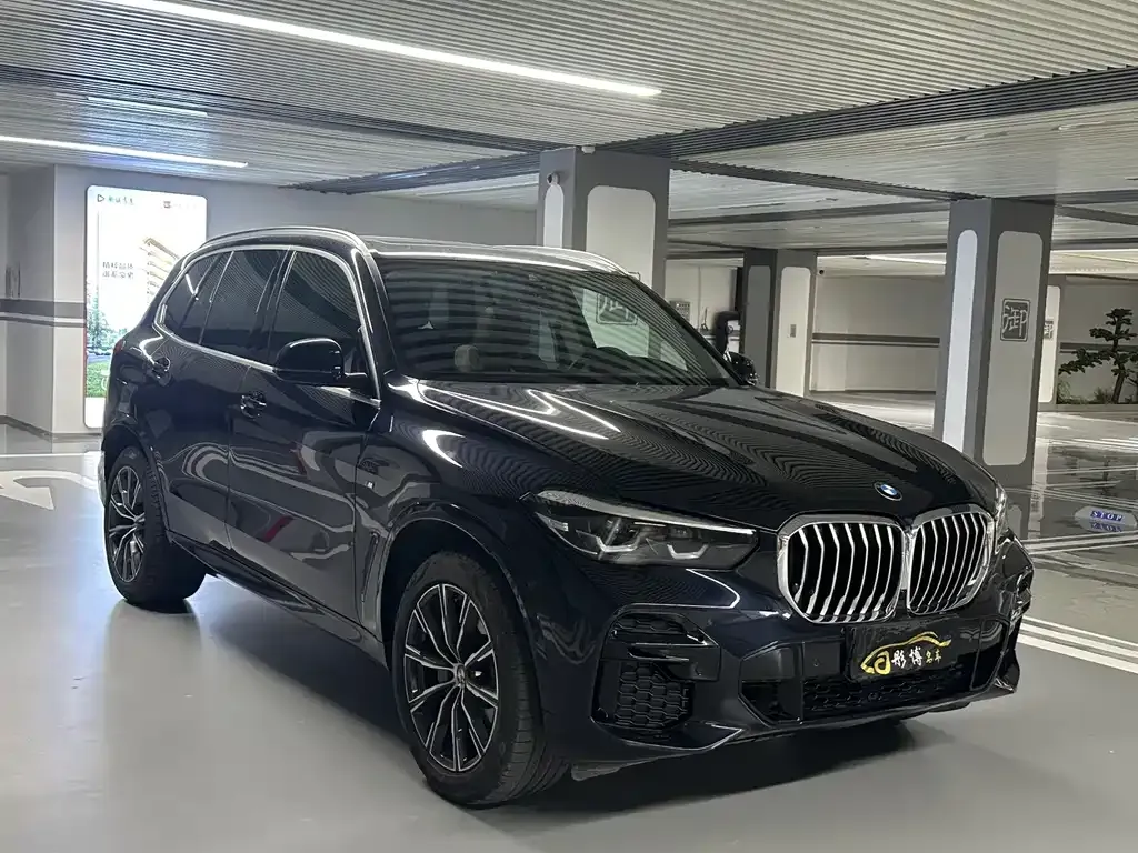 [object Object] X5 (Import) 2022 из CN, фото 3