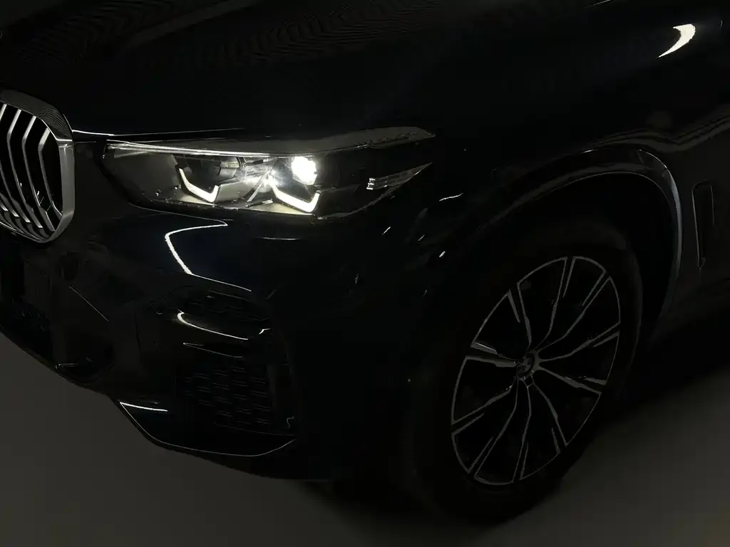 [object Object] X5 (Import) 2022 из CN, фото 4