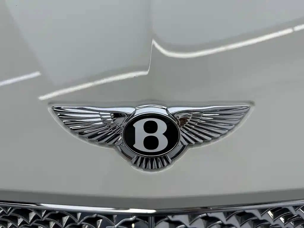 Bentley Continental 2023 из CN, фото 8
