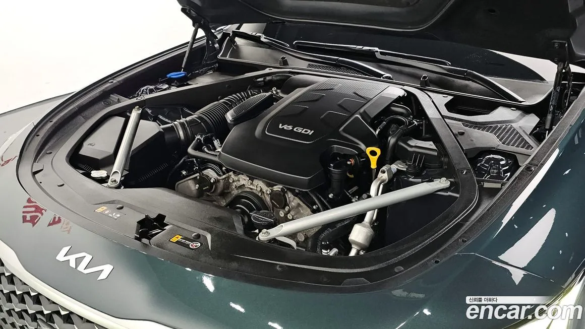 [object Object] K9 2022 из KR, фото 6