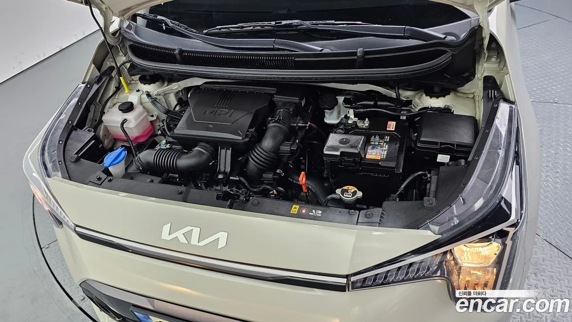 [object Object] morning 2024 из KR, фото 6