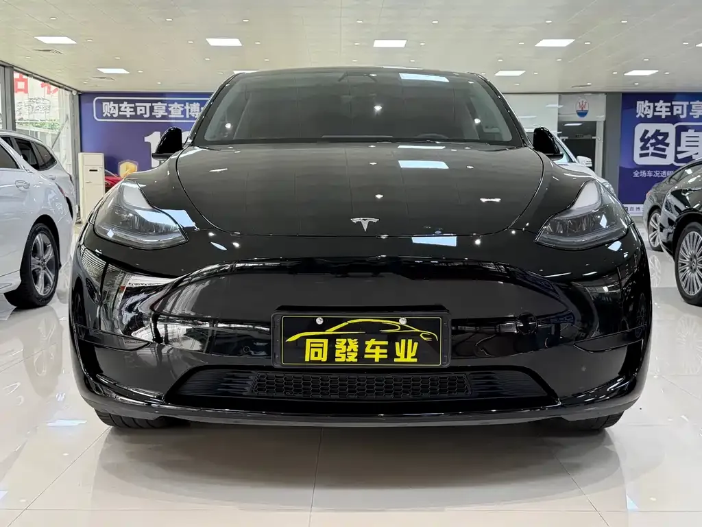 Tesla Model Y — фото 2