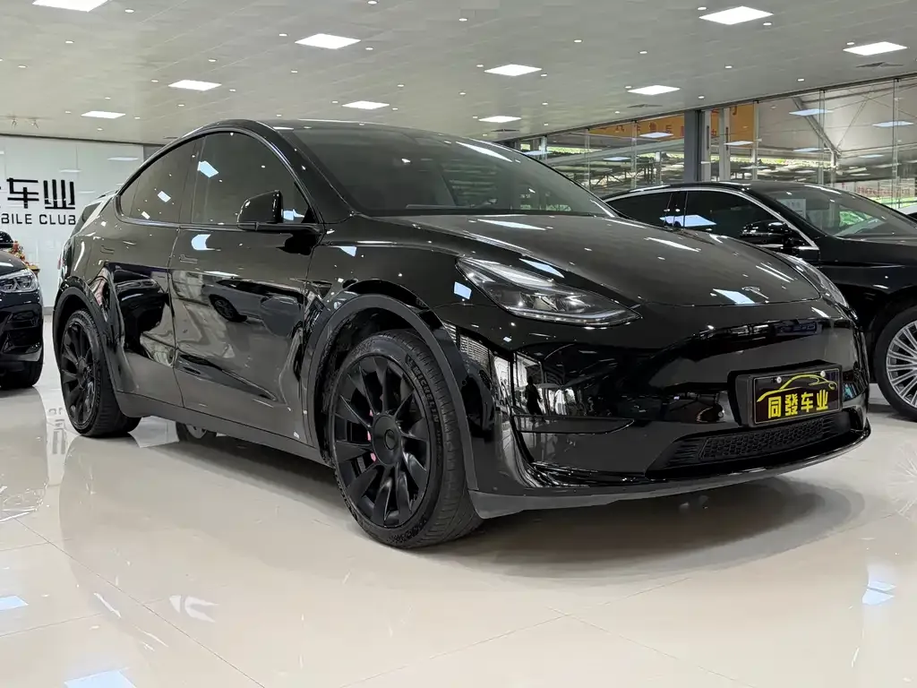 Tesla Model Y — фото 3