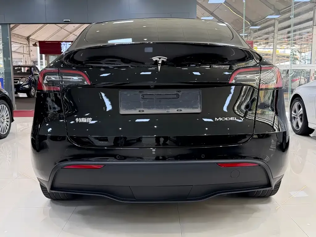 Tesla Model Y — фото 4