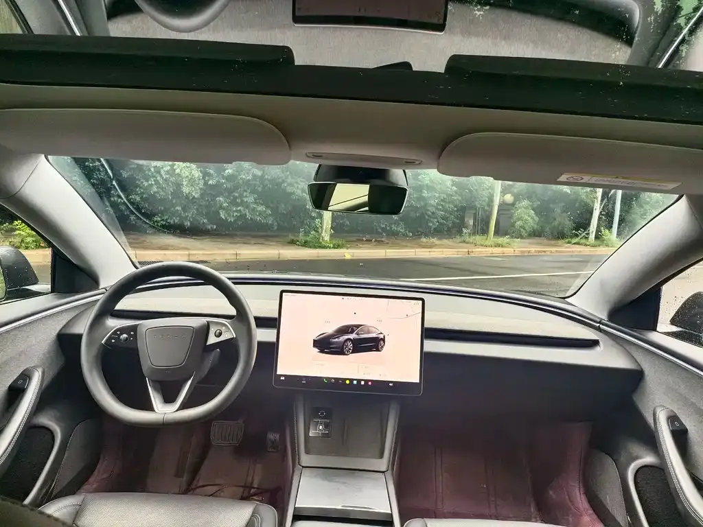 Tesla Model 3 2025 из CN, фото 4
