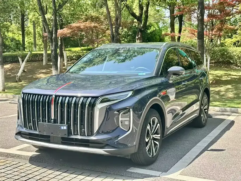 Hongqi HS7 2023 из CN, фото 1