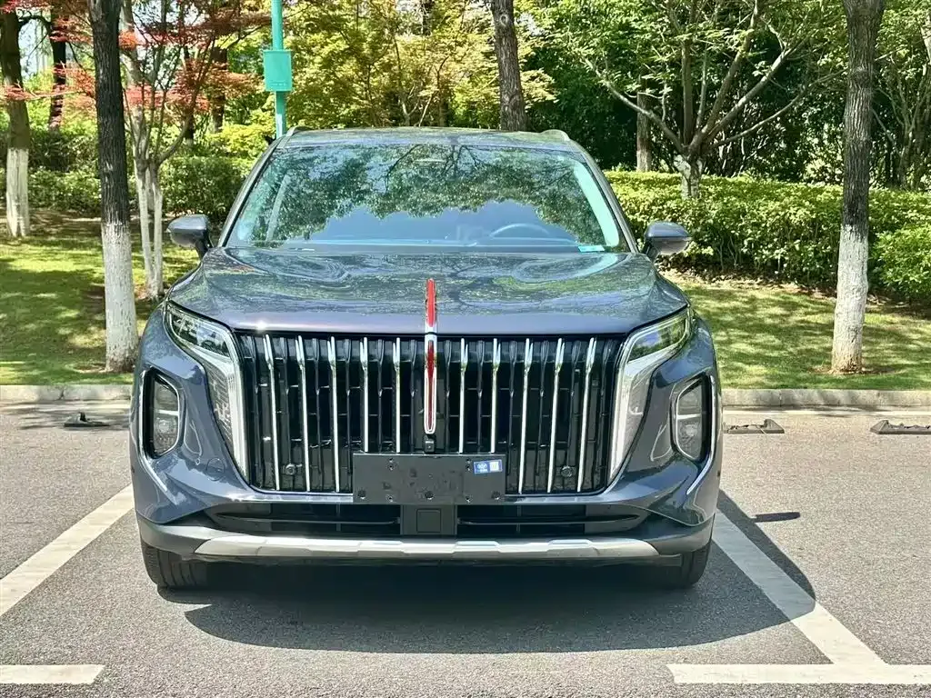 Hongqi HS7 2023 из CN, фото 3