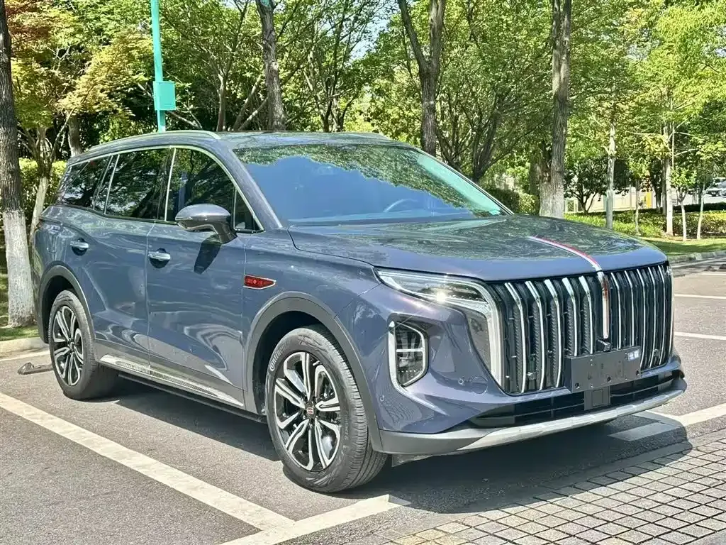 Hongqi HS7 2023 из CN, фото 4