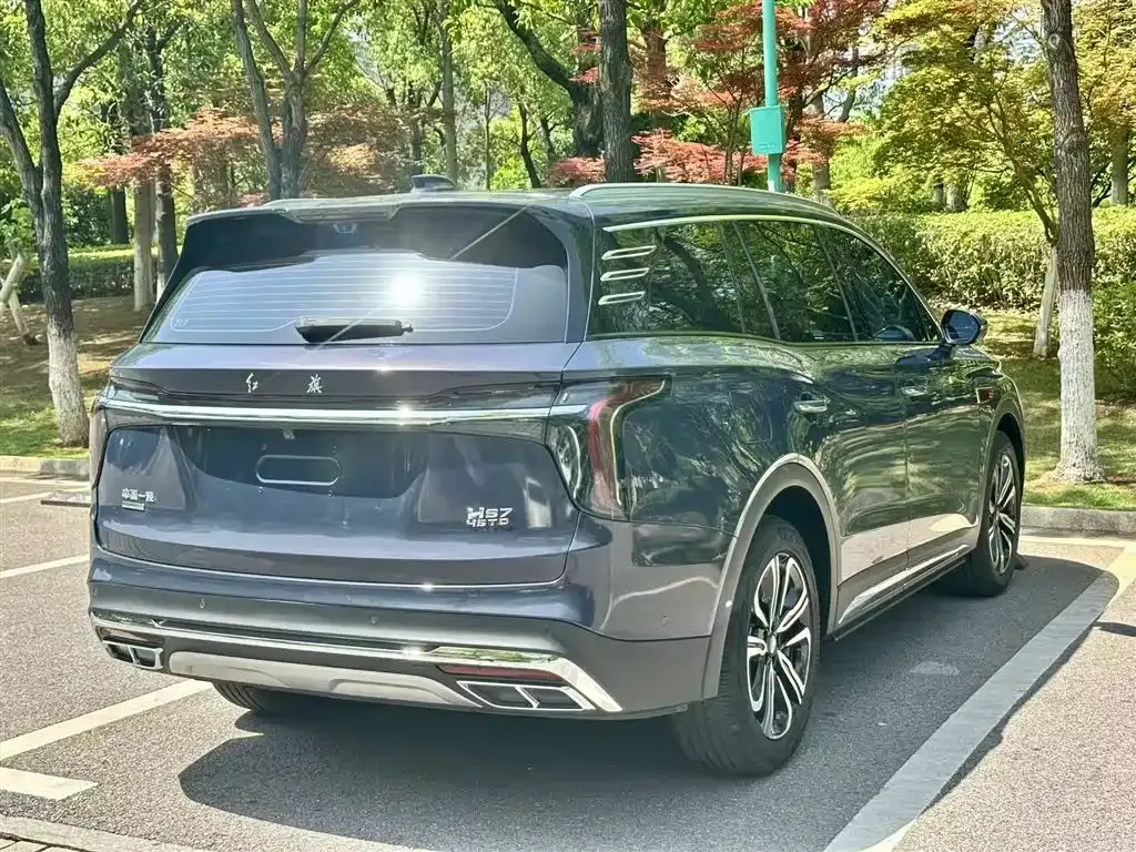 Hongqi HS7 2023 из CN, фото 7
