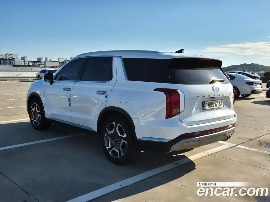 Hyundai Palisade — фото 6