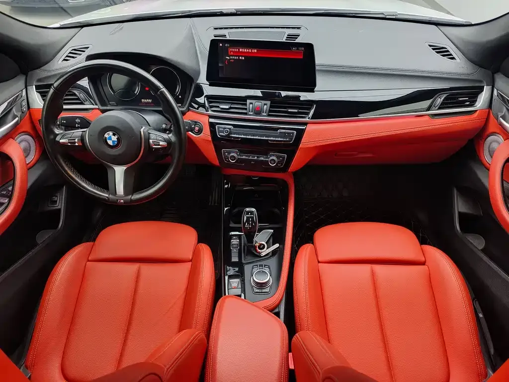 BMW X2 2021 из CN, фото 6
