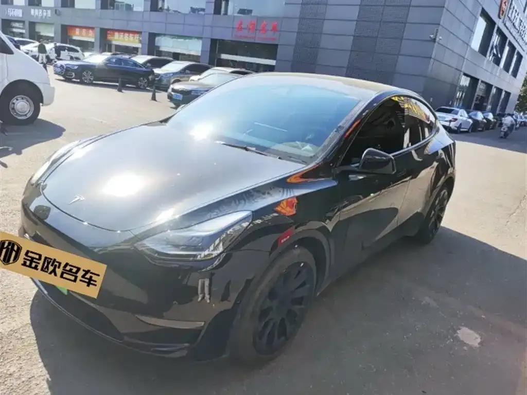 Tesla Model Y — фото 1