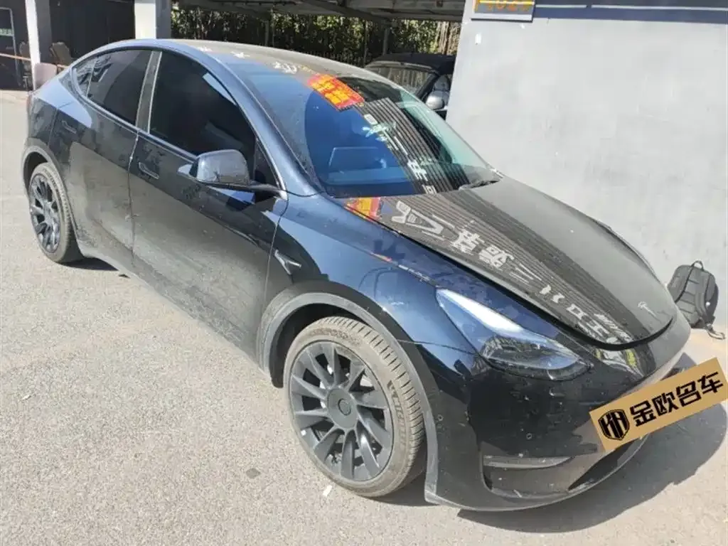Tesla Model Y — фото 2