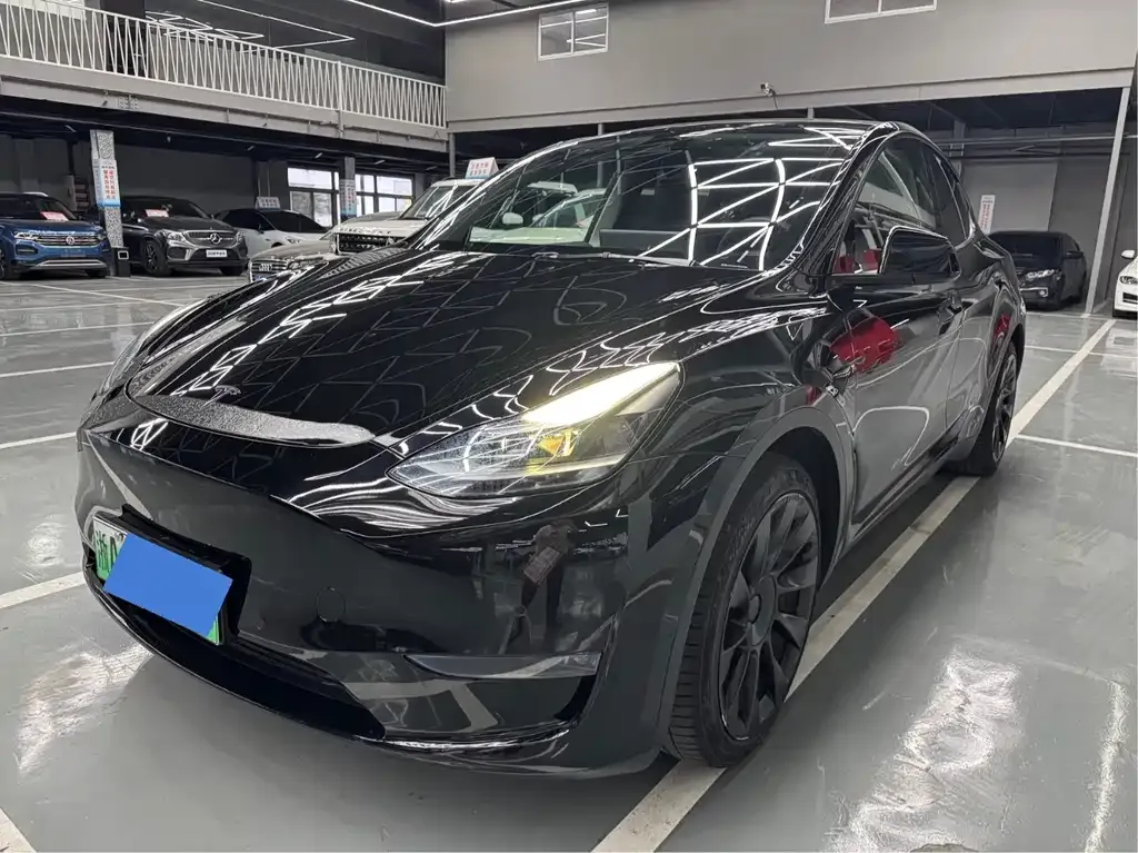Tesla Model Y 2021 из CN, фото 1