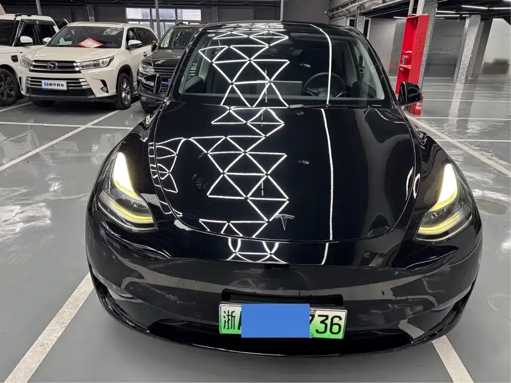 Tesla Model Y 2021 из CN, фото 2