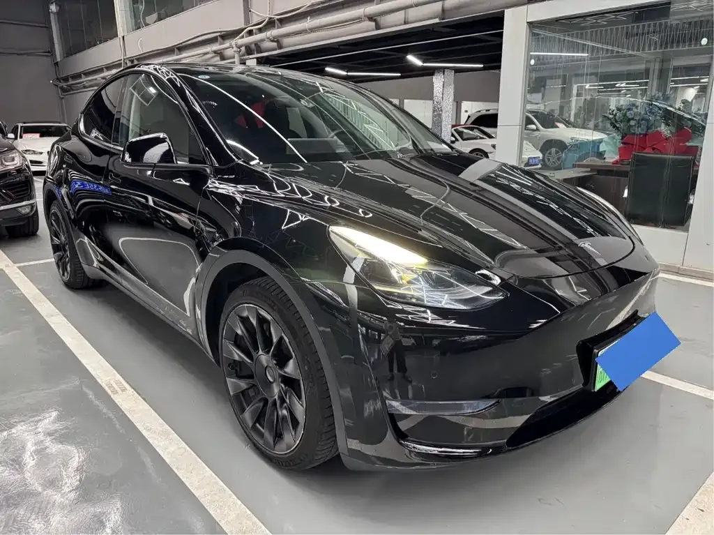Tesla Model Y 2021 из CN, фото 3