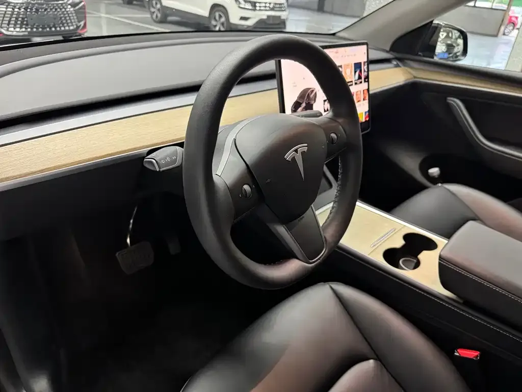 Tesla Model Y 2021 из CN, фото 6