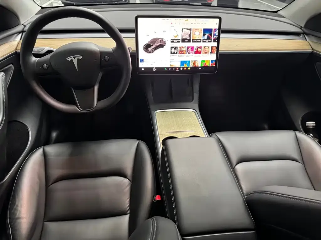 Tesla Model Y 2021 из CN, фото 8