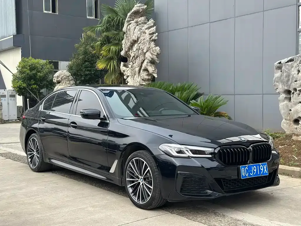BMW 5 Series 2022 из CN, фото 3