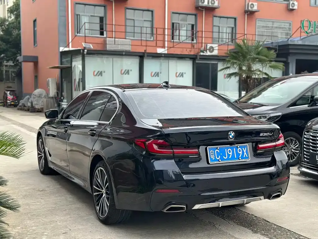 BMW 5 Series 2022 из CN, фото 4