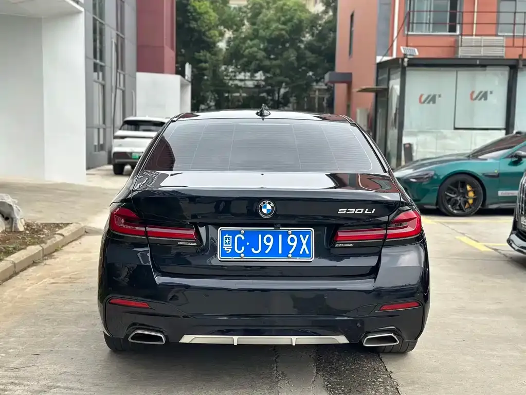 BMW 5 Series 2022 из CN, фото 5