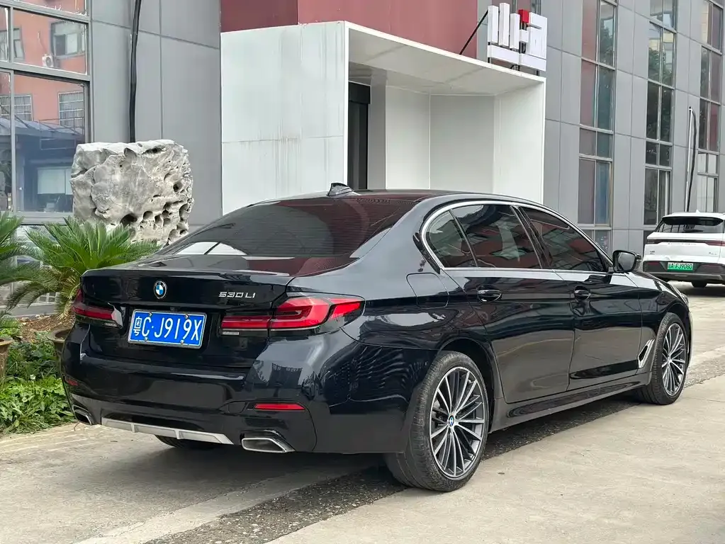 BMW 5 Series 2022 из CN, фото 6