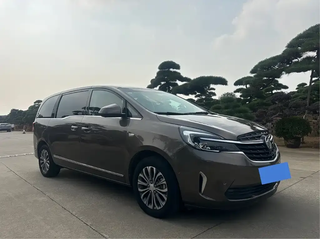 Buick GL8 2021 из CN, фото 2