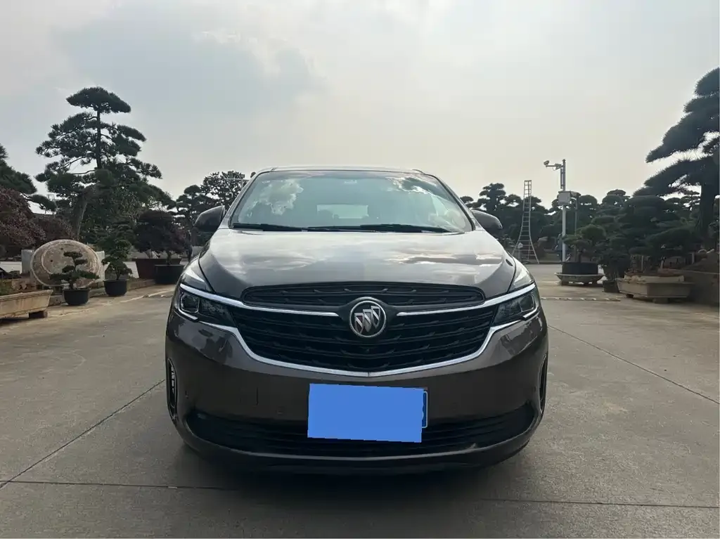Buick GL8 2021 из CN, фото 3