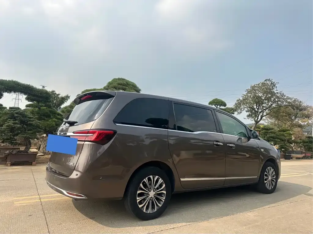 Buick GL8 2021 из CN, фото 5
