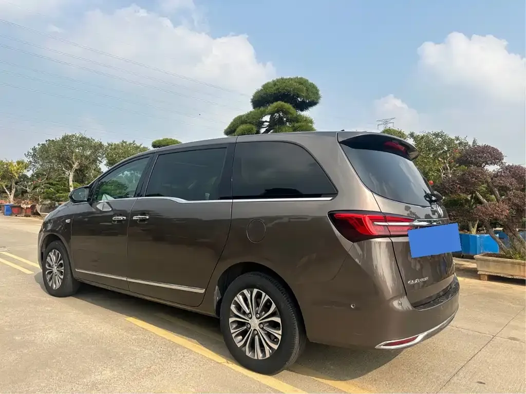 Buick GL8 2021 из CN, фото 6