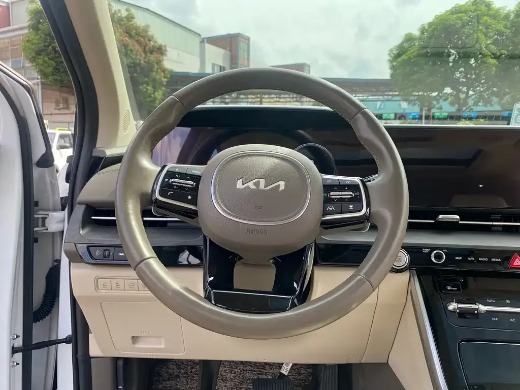 Kia Carnival 2021 из CN, фото 10