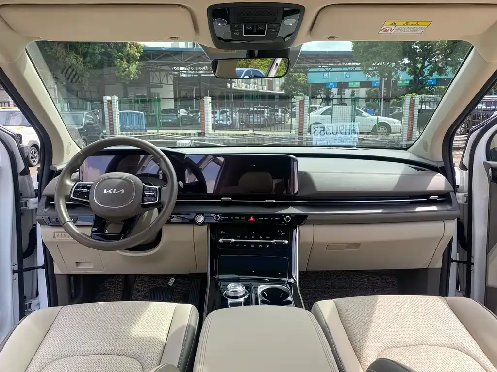Kia Carnival 2021 из CN, фото 9