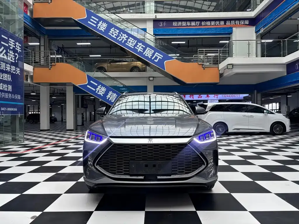 BYD PLUS New Energy 2022 из CN, фото 2