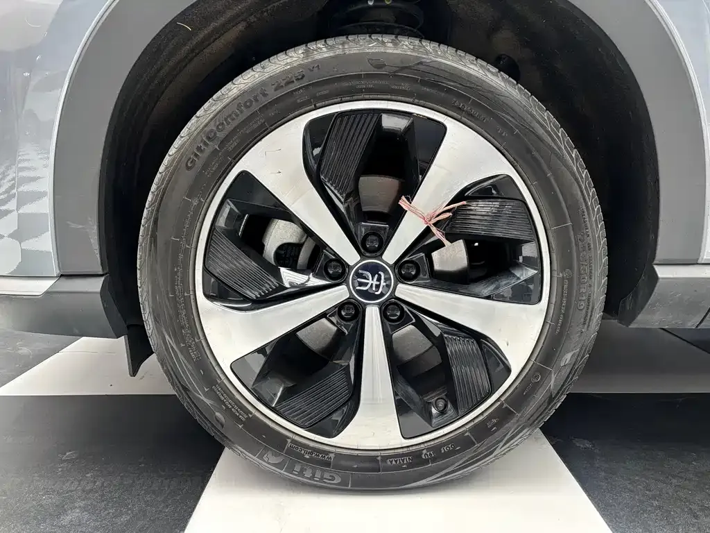 BYD PLUS New Energy 2022 из CN, фото 4