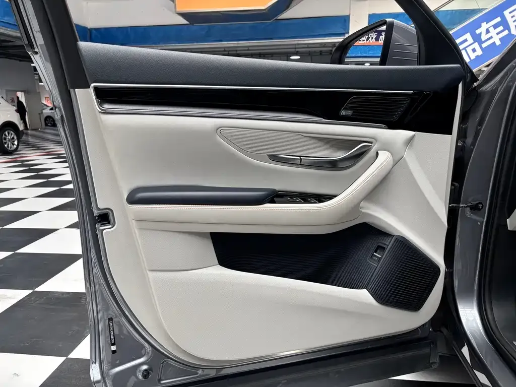 BYD PLUS New Energy 2022 из CN, фото 5