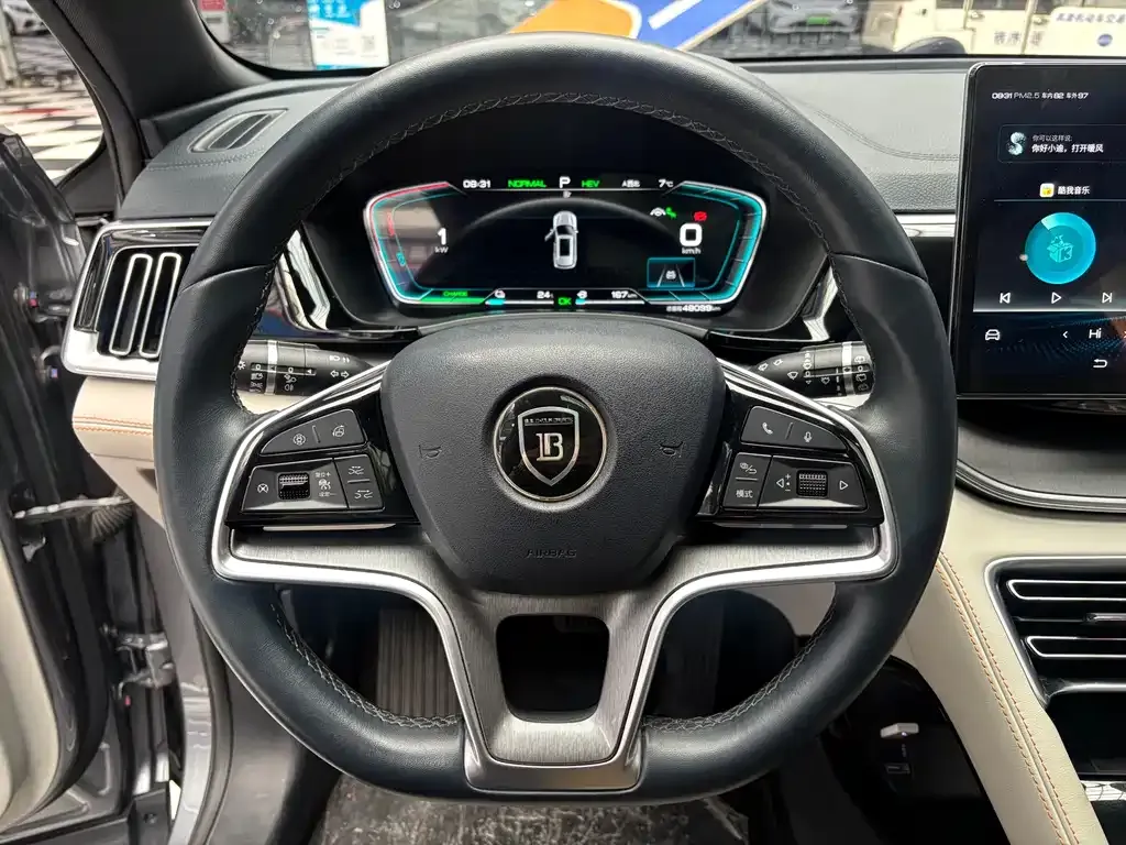 BYD PLUS New Energy 2022 из CN, фото 6