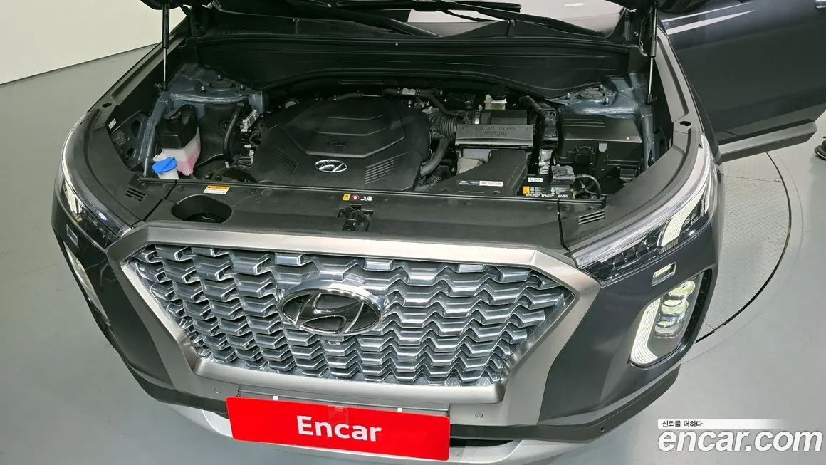 [object Object] Palisade 2022 из KR, фото 6