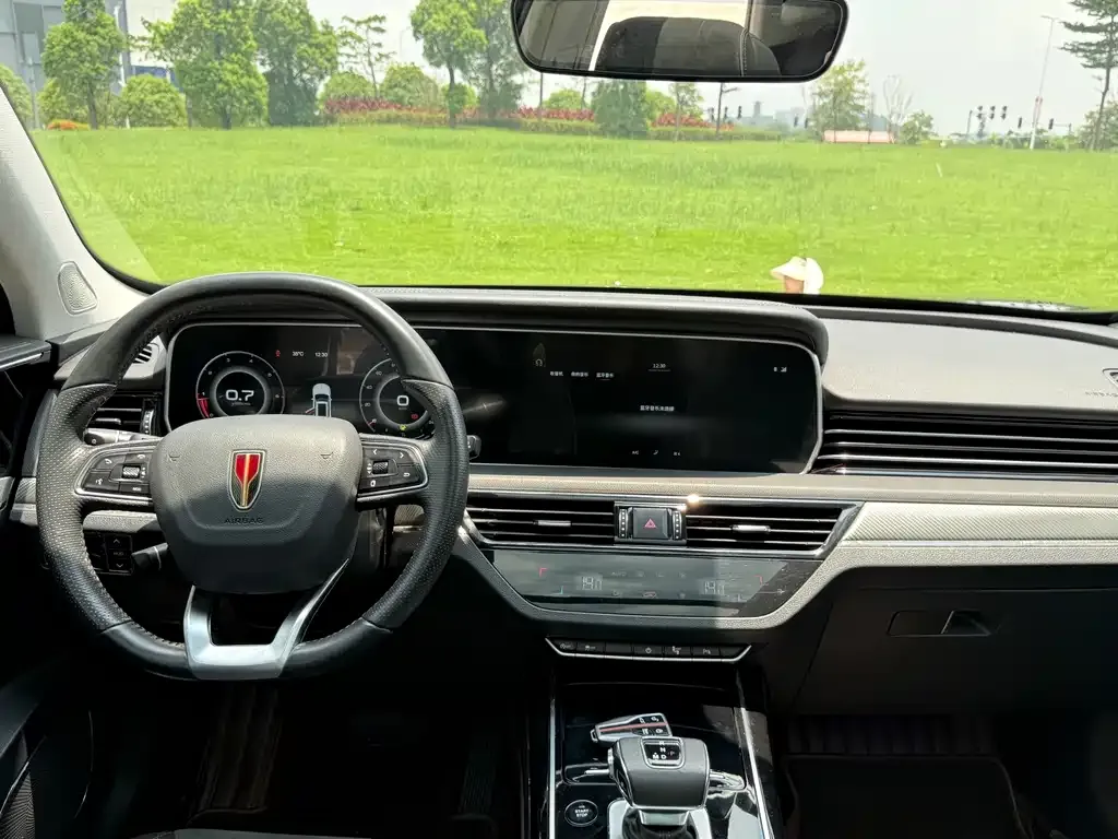 Hongqi HS5 2021 из CN, фото 10