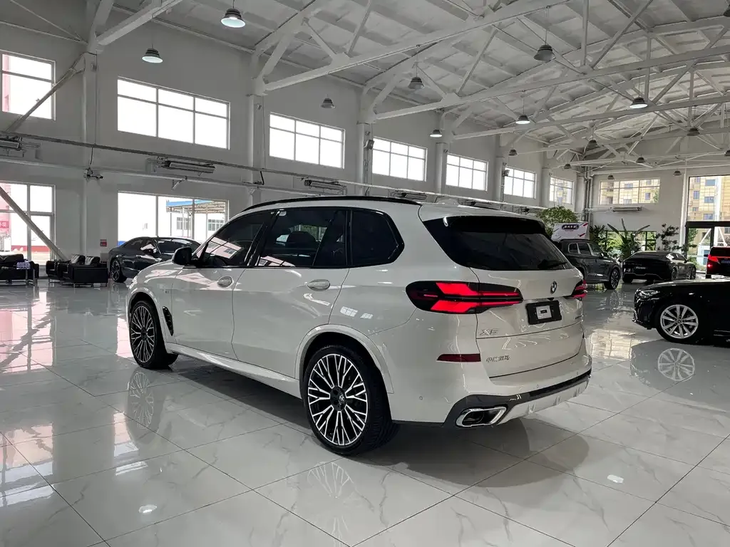 BMW X5 2024 из CN, фото 4