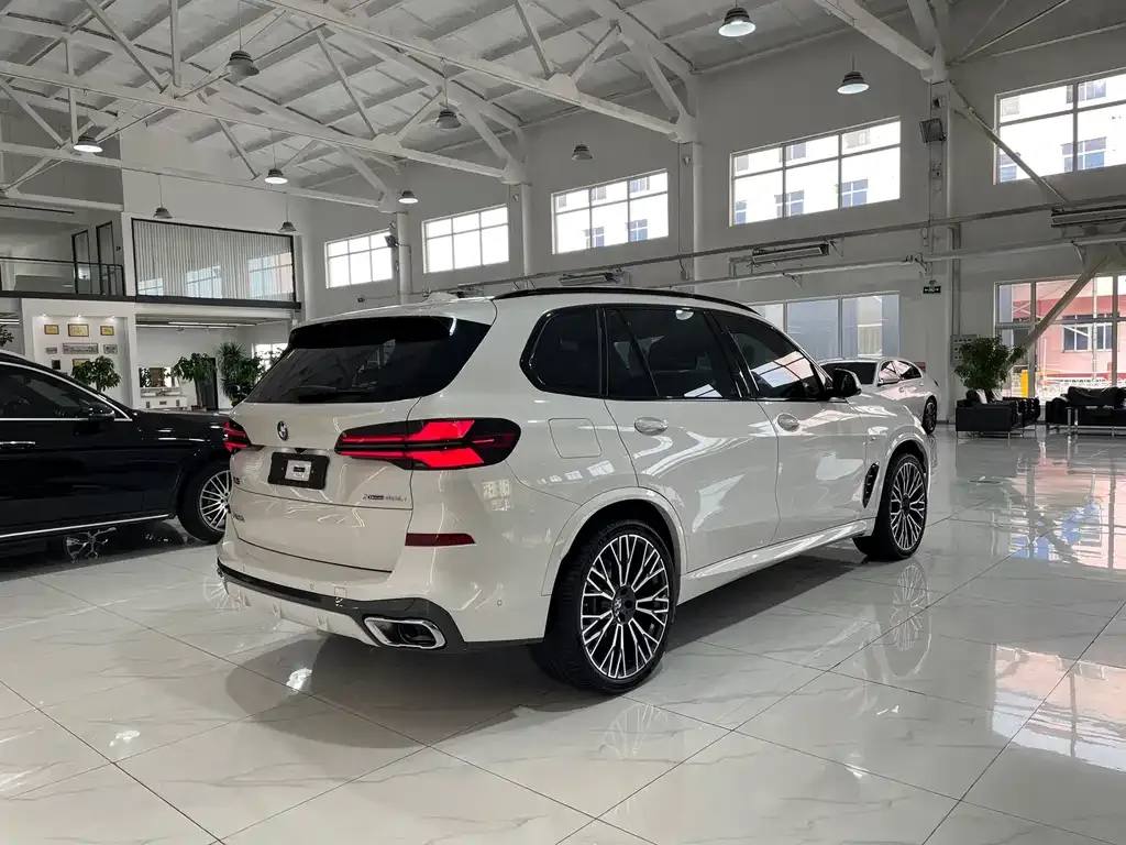 BMW X5 2024 из CN, фото 6