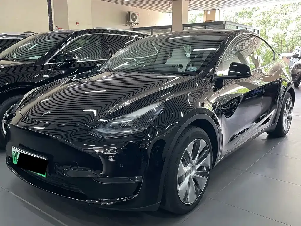 Tesla Model Y 2021 из CN, фото 1
