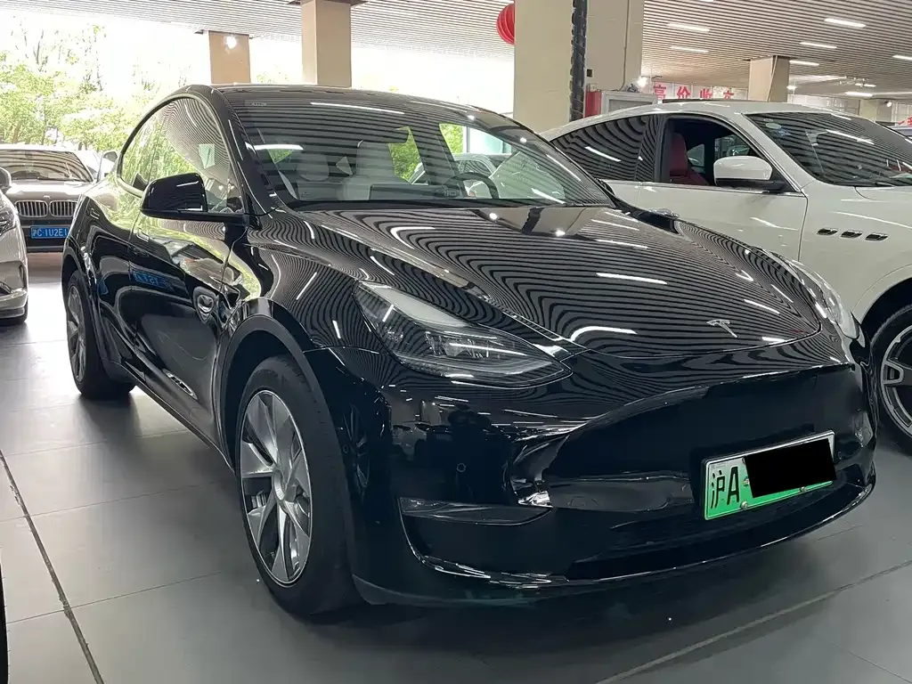 Tesla Model Y 2021 из CN, фото 2