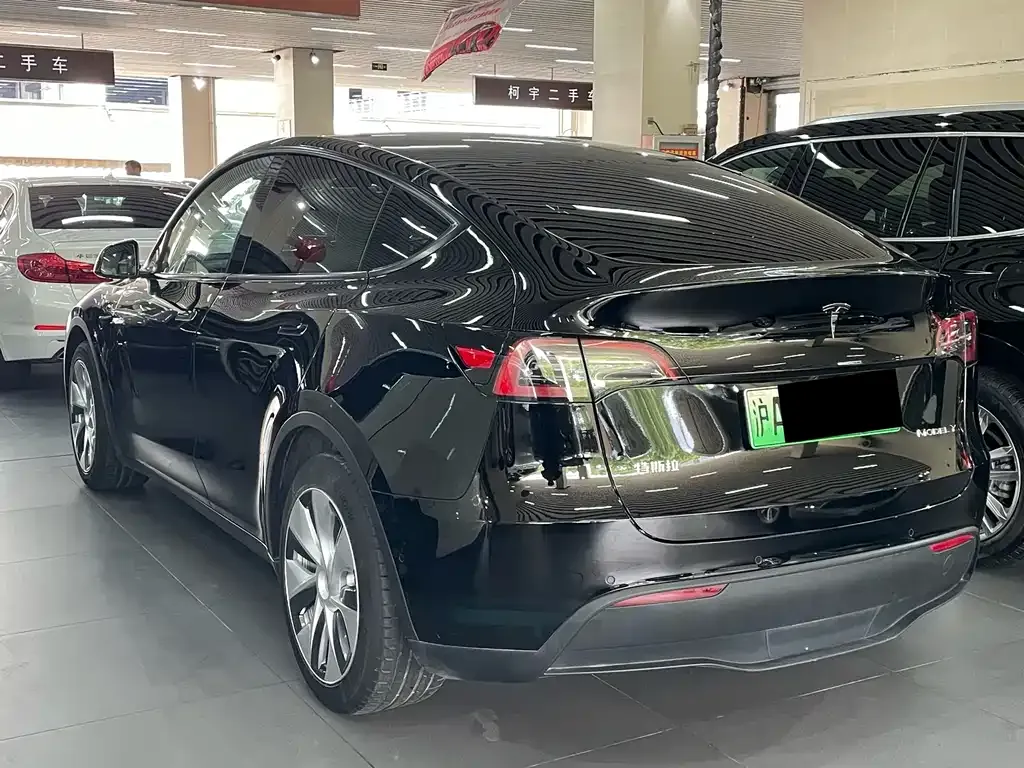 Tesla Model Y 2021 из CN, фото 3