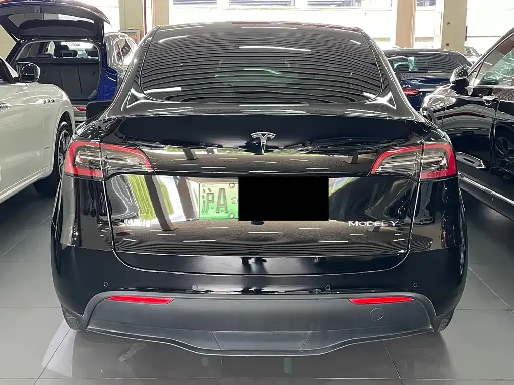 Tesla Model Y 2021 из CN, фото 4