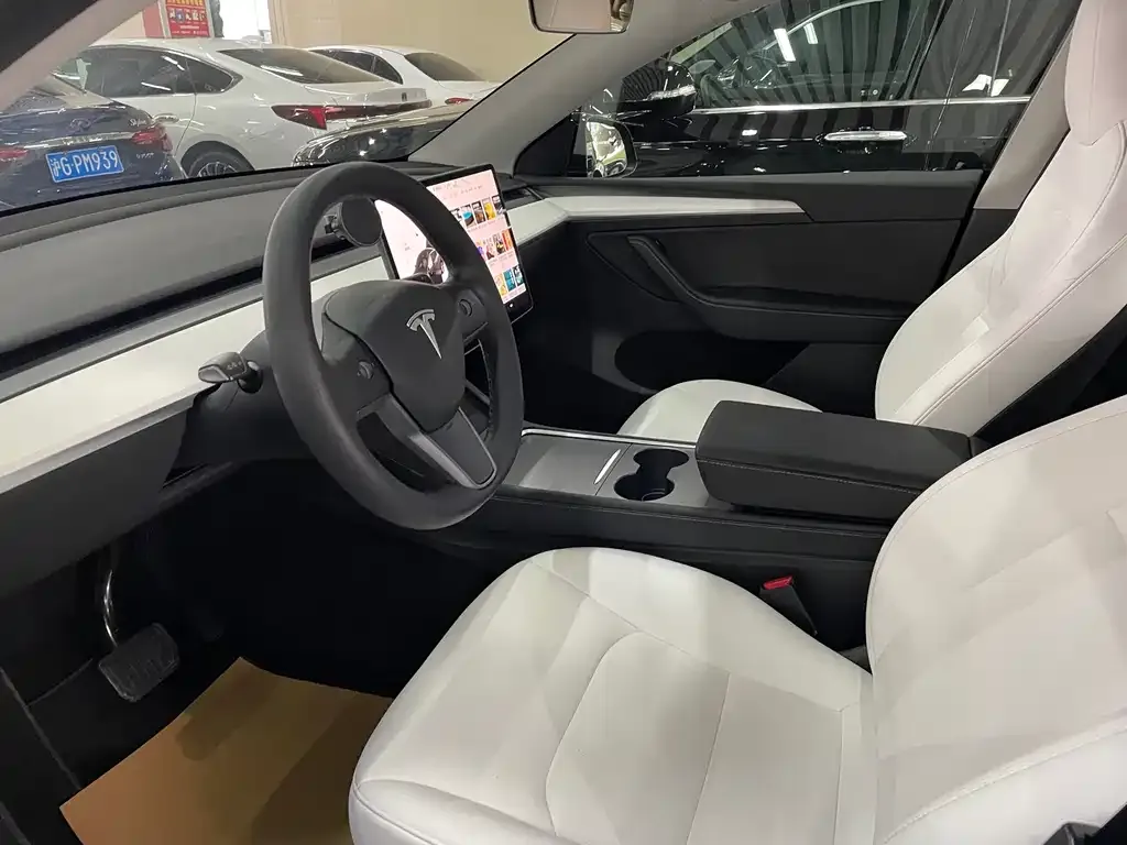 Tesla Model Y 2021 из CN, фото 5
