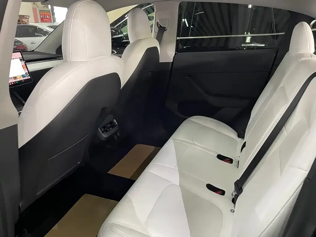 Tesla Model Y 2021 из CN, фото 9
