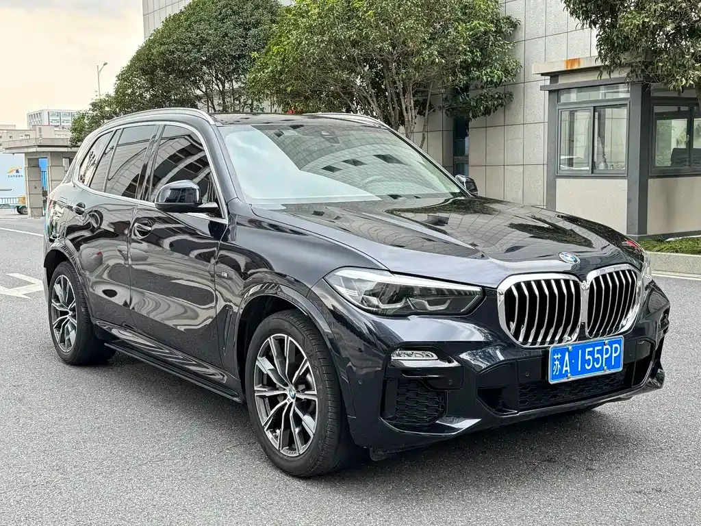 BMW X5 (Import) 2021 из CN, фото 3