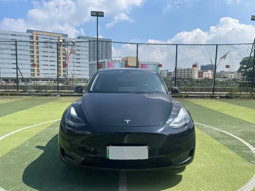 Tesla Model Y — фото 2