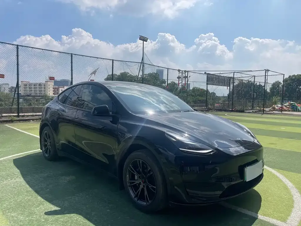 Tesla Model Y — фото 3
